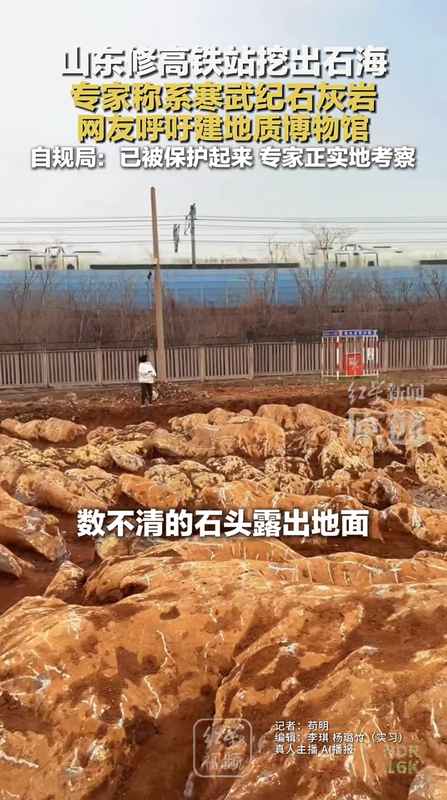  山东修高铁站挖出约5亿年前石海，专家称系寒武纪石灰岩，当地：已保护起来，正实地考察 新闻 山东修高铁站挖出约5亿年前石海，专家称系寒武纪石灰岩，当地：已保护起来，正实地考察 新闻