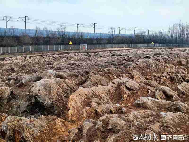  山东修高铁站挖出约5亿年前石海，专家称系寒武纪石灰岩，当地：已保护起来，正实地考察 新闻 山东修高铁站挖出约5亿年前石海，专家称系寒武纪石灰岩，当地：已保护起来，正实地考察 新闻