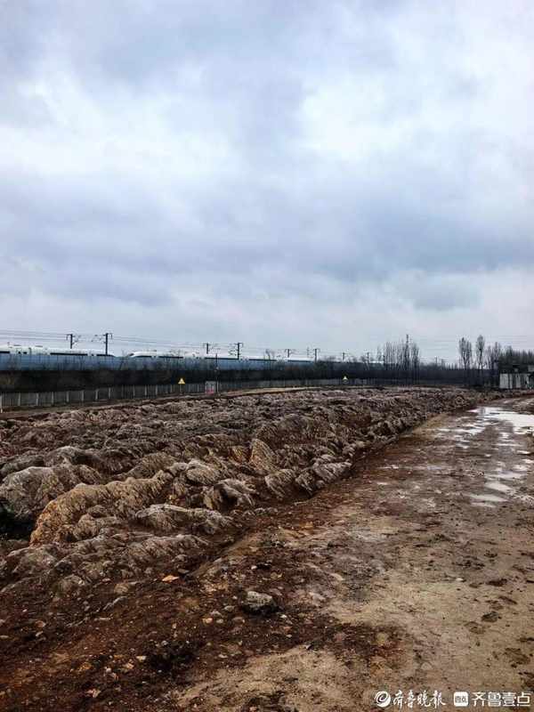  山东修高铁站挖出约5亿年前石海，专家称系寒武纪石灰岩，当地：已保护起来，正实地考察 新闻 山东修高铁站挖出约5亿年前石海，专家称系寒武纪石灰岩，当地：已保护起来，正实地考察 新闻