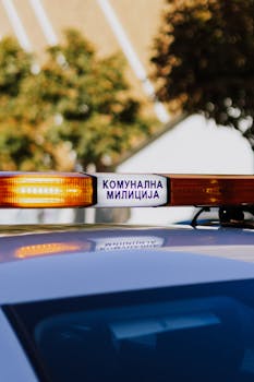  强化就业优先导向，构建公平有序用工格局；推动高质量充分就业。 新闻 强化就业优先导向，构建公平有序用工格局；推动高质量充分就业。 新闻 强化就业优先导向，构建公平有序用工格局；推动高质量充分就业。 新闻