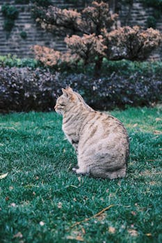 盛业平台化转型显著推进,科技服务收入占比已超五成。 IT技术 盛业平台化转型显著推进,科技服务收入占比已超五成。 IT技术