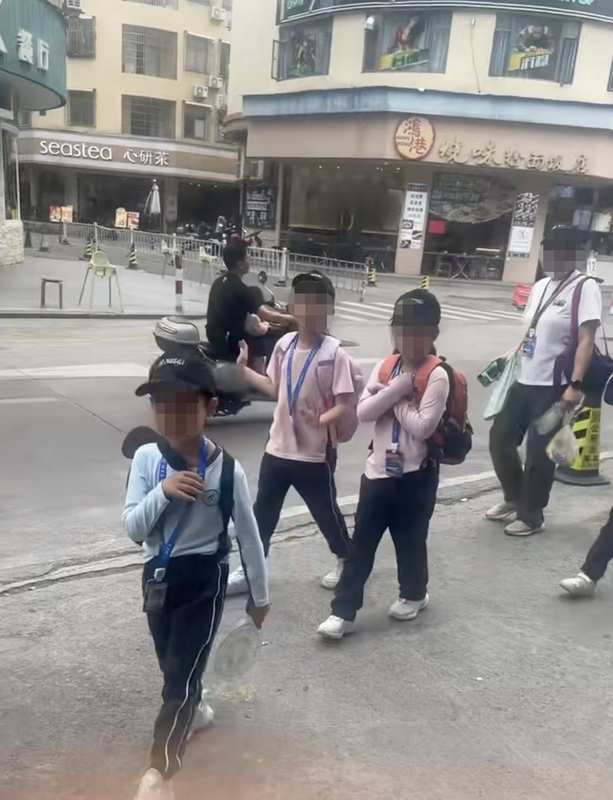  研学实践逻辑漏洞分析：一份关于“社会生存”活动的批判性报告 教育招生