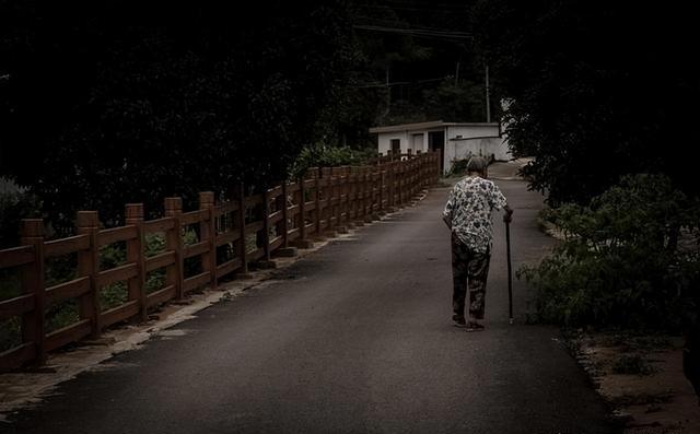  村集体补助农村养老保险：机制设计、筹资逻辑与制度路径深析 新闻 村集体补助农村养老保险：机制设计、筹资逻辑与制度路径深析 新闻