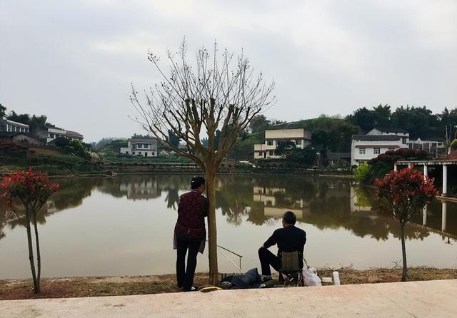  村集体补助农村养老保险：机制设计、筹资逻辑与制度路径深析 新闻 村集体补助农村养老保险：机制设计、筹资逻辑与制度路径深析 新闻