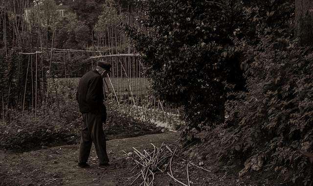  村集体补助农村养老保险：机制设计、筹资逻辑与制度路径深析 新闻 村集体补助农村养老保险：机制设计、筹资逻辑与制度路径深析 新闻