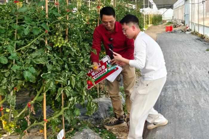  那些在乡野间播撒希望的年轻人，后来怎么样了？ 情感心理