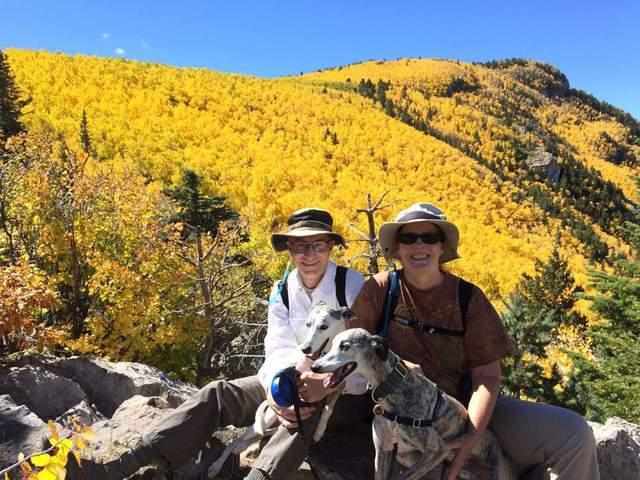  他的“消失”为何让所有人脊背发凉：一个掌握太多秘密的人，选择了不告而别 新闻