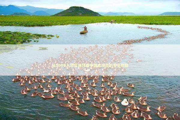 从5000人滞留迪拜看中国出境游的安全软肋 新闻