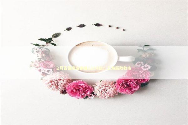 2月百强房企销售1234亿：上海新政救市 新闻