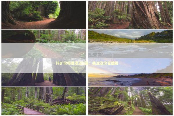 钨矿价格暴涨近5倍：关注涨价受益股 新闻