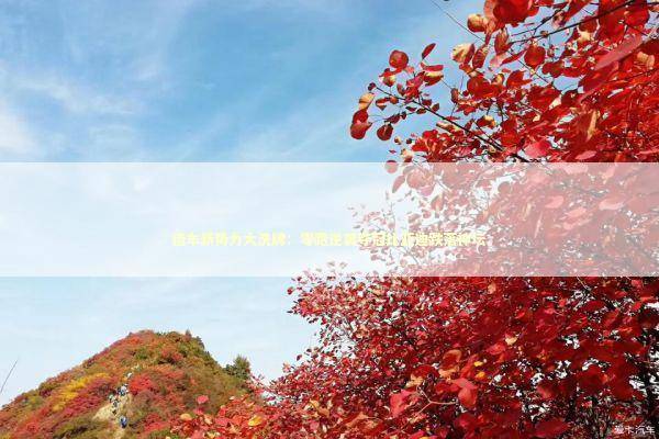 造车新势力大洗牌：零跑逆袭夺冠比亚迪跌落神坛 新闻