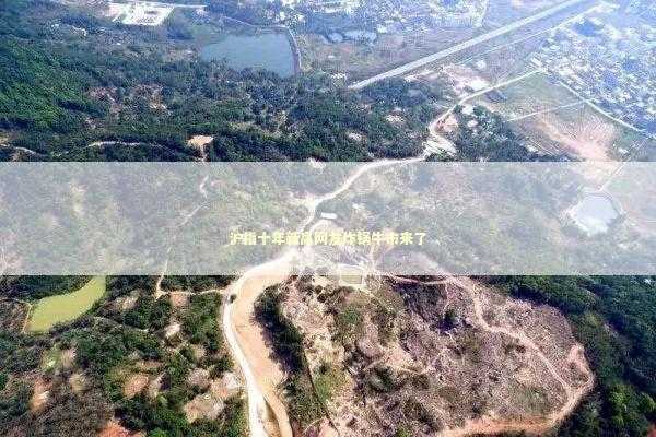 沪指十年新高网友炸锅牛市来了 新闻