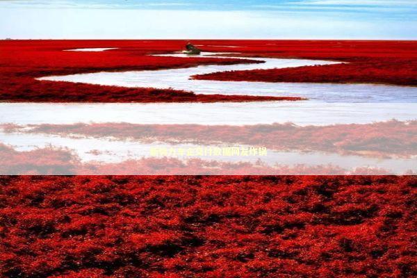 新势力车企交付数据网友炸锅 新闻