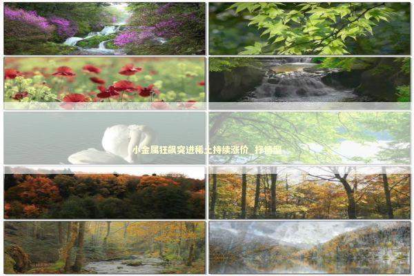 小金属狂飙突进稀土持续涨价_抒情型 新闻