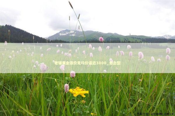 老铺黄金涨价克均价逼近3000_悬念型 新闻