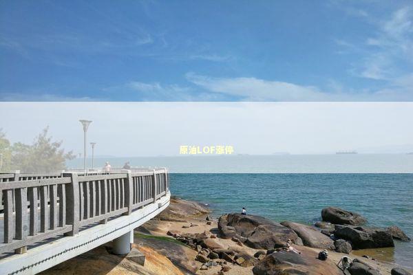 原油LOF涨停 新闻