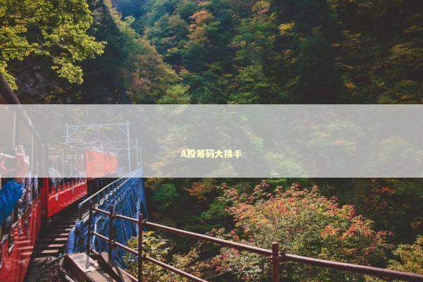 A股筹码大换手 新闻