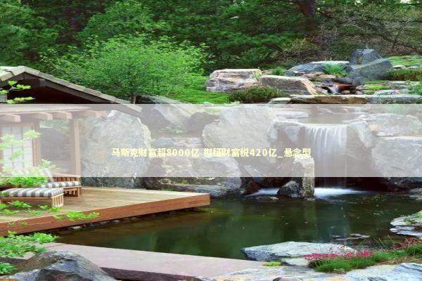 马斯克财富超8000亿 拟征财富税420亿_悬念型 新闻