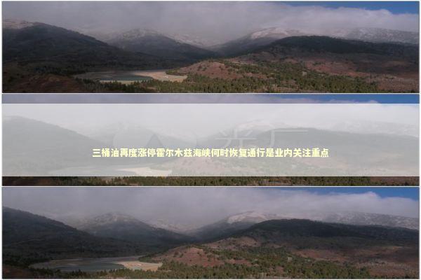 三桶油再度涨停霍尔木兹海峡何时恢复通行是业内关注重点 新闻