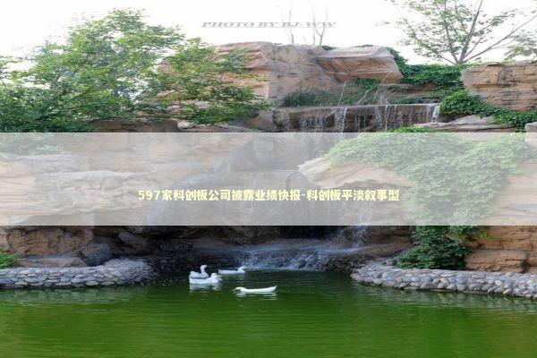 597家科创板公司披露业绩快报-科创板平淡叙事型 597家科创板公司披露业绩快报-科创板平淡叙事型 新闻