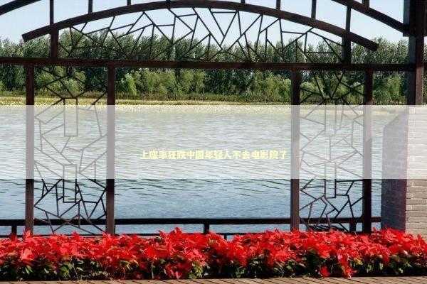 上座率狂跌中国年轻人不去电影院了 新闻