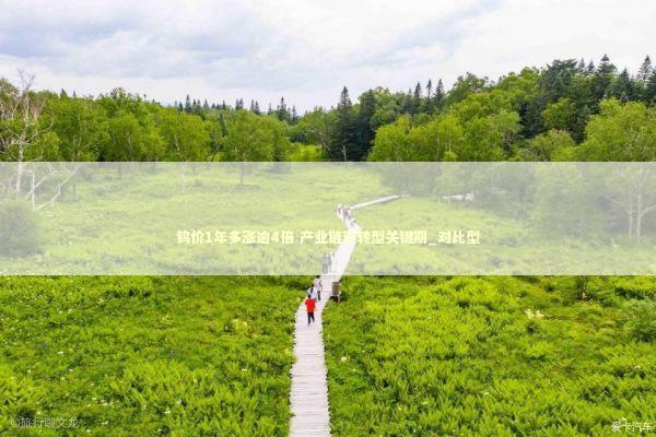 钨价1年多涨逾4倍 产业链迎转型关键期_对比型 新闻