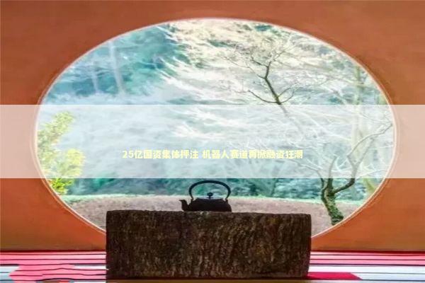 25亿国资集体押注 机器人赛道再掀融资狂潮 新闻