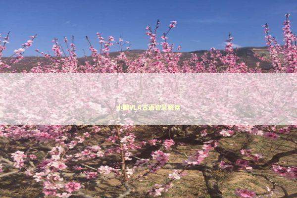 小鹏VLA古语智慧解读 新闻