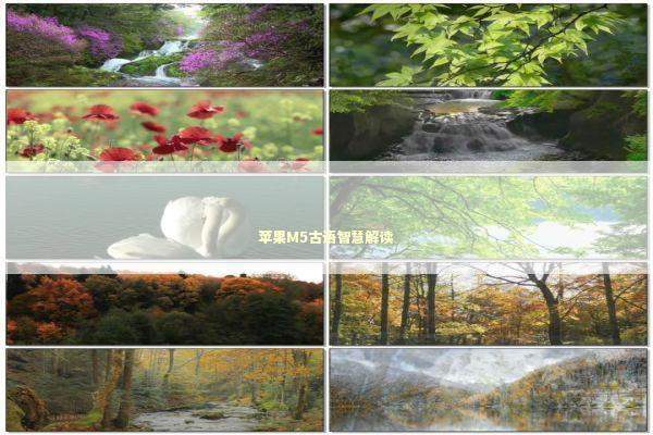 苹果M5古语智慧解读 新闻