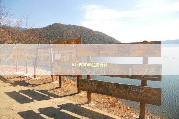 02-WBD派拉蒙合并 新闻