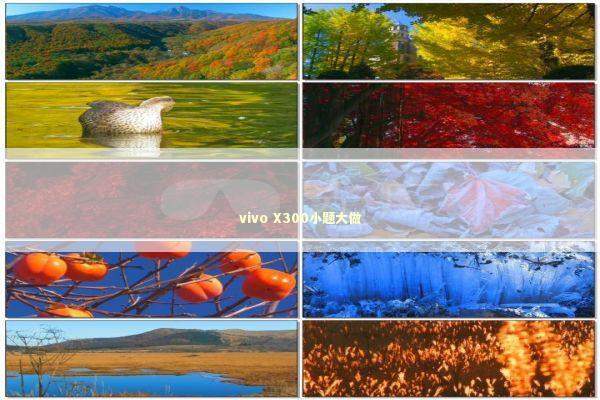 vivo X300小题大做 新闻