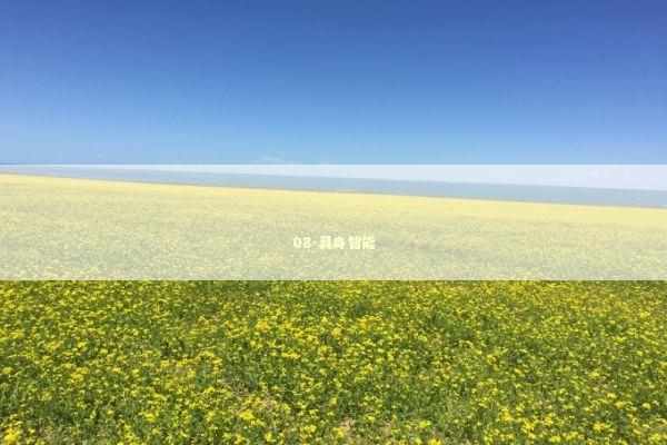 08-具身智能 08-具身智能 新闻