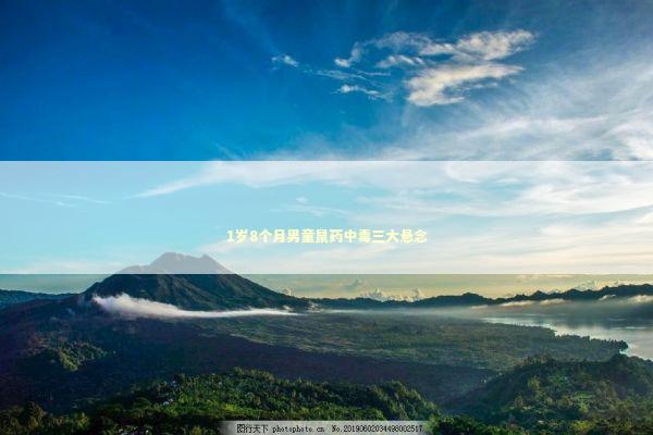 1岁8个月男童鼠药中毒三大悬念 1岁8个月男童鼠药中毒三大悬念 新闻