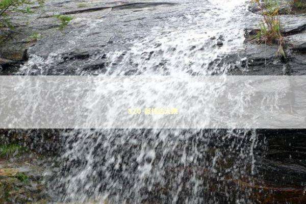 320-英伟达大跌 新闻