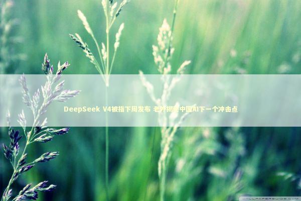 DeepSeek V4被指下周发布 老外揭秘中国AI下一个冲击点 新闻