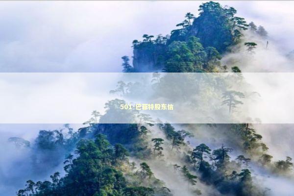 501-巴菲特股东信 新闻