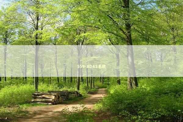 559-ADAS系统 新闻