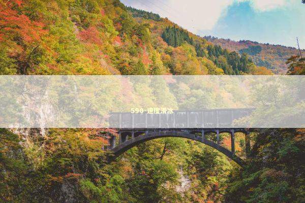 590-速度滑冰 新闻