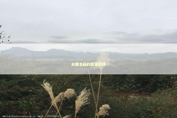 无糖食品的甜蜜陷阱 新闻