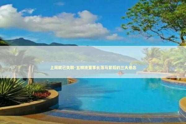 上周就已失联-五粮液董事长落马背后的三大悬念 新闻