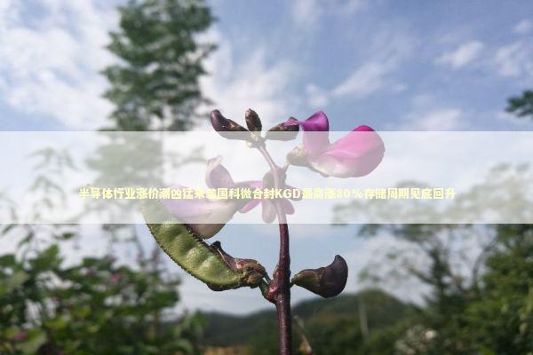 半导体行业涨价潮凶猛来袭国科微合封KGD最高涨80%存储周期见底回升 新闻