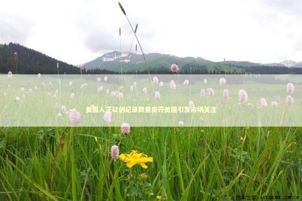 美国人正以创纪录数量离开美国引发市场关注 新闻