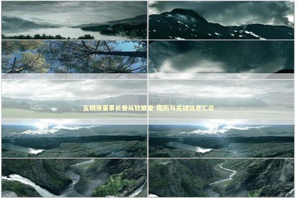 五粮液董事长曾从钦被查-履历与关键信息汇总 新闻