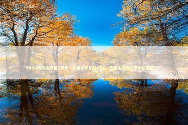 5000元机票飙至2万元!大批中东航线停运,这些地方到北京票价涨疯了… 5000元机票飙至2万元!大批中东航线停运,这些地方到北京票价涨疯了… 新闻