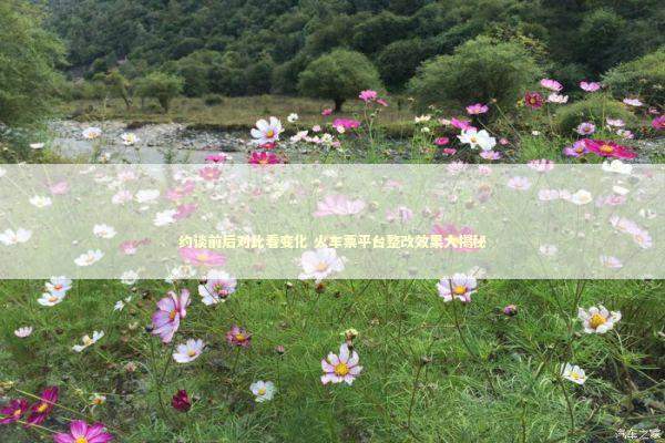 约谈前后对比看变化 火车票平台整改效果大揭秘 约谈前后对比看变化 火车票平台整改效果大揭秘 新闻