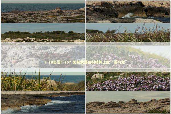 F-18击落F-15？美制武器在科威特上空“闹乌龙” 新闻