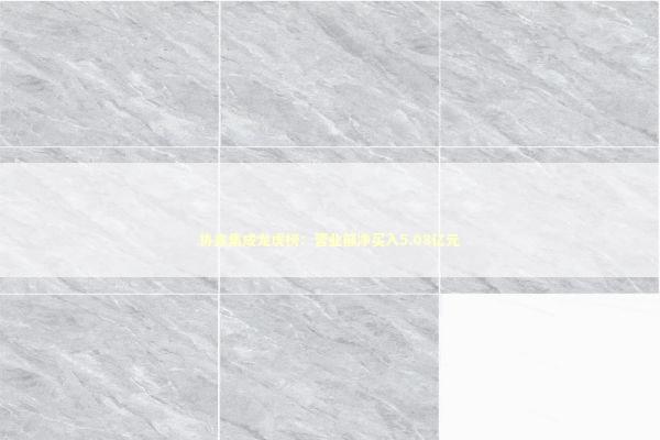 协鑫集成龙虎榜：营业部净买入5.08亿元 新闻