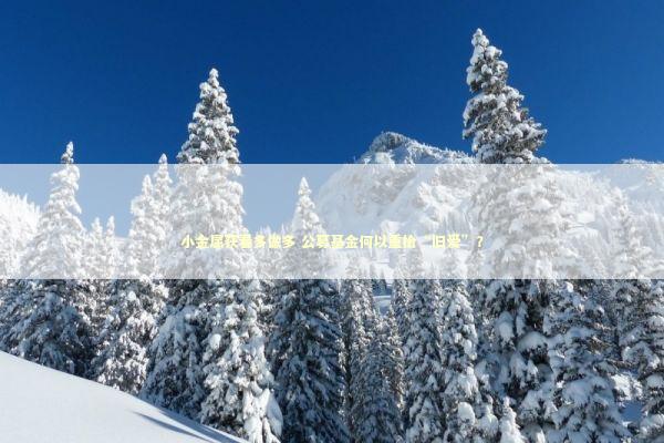 小金属获看多做多 公募基金何以重拾“旧爱”？ 新闻