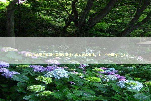 许庆山亲历巴拿马中国码头风波:华人资本受损,下一个会是谁?_2 许庆山亲历巴拿马中国码头风波:华人资本受损,下一个会是谁?_2 新闻