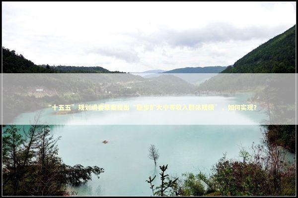 “十五五”规划纲要草案提出“稳步扩大中等收入群体规模”,如何实现? “十五五”规划纲要草案提出“稳步扩大中等收入群体规模”,如何实现? 新闻